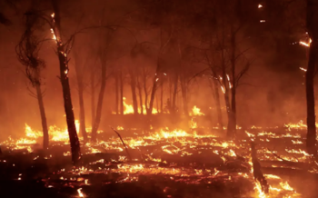 España combate uno de los peores incendios forestales de los últimos años